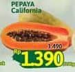 Pepaya California per 100 gr Diskon 6%, Harga Promo Rp1.390, Harga Normal Rp1.490