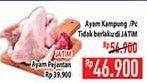 Promo Harga Ayam Kampung 600 gr - Hypermart