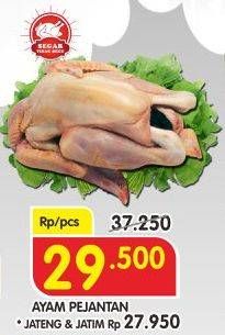 Promo Harga Ayam Pejantan  - Superindo