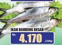 Promo Harga Ikan Bandeng Besar per 100 gr - Hari Hari