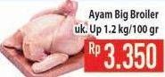 Promo Harga Ayam Broiler per 100 gr - Hypermart