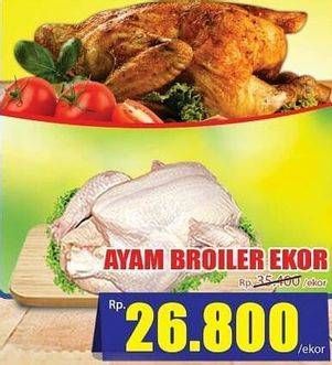 Promo Harga Ayam Broiler  - Hari Hari