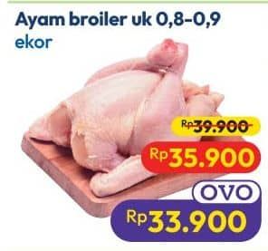 Promo Harga Ayam Broiler 800 gr - Hypermart