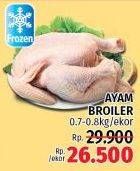 Promo Harga Ayam Broiler 700 gr - LotteMart