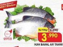 Promo Harga Ikan Bawal Tawar per 100 gr - Superindo