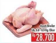 Promo Harga Ayam Broiler  - Hypermart