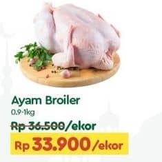 Promo Harga Ayam Broiler 900 gr - TIP TOP