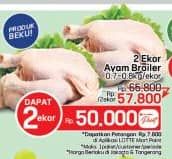 Ayam Broiler