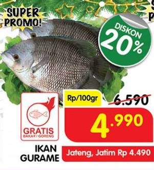 Promo Harga Ikan Gurame per 100 gr - Superindo