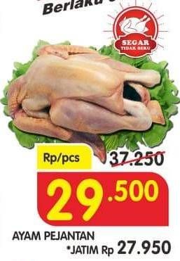 Promo Harga Ayam Pejantan  - Superindo