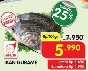 Promo Harga Ikan Gurame per 100 gr - Superindo