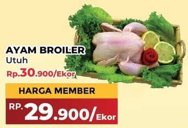 Promo Harga Ayam Broiler 500 gr - Yogya