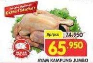 Promo Harga Ayam Kampung Jumbo per 100 gr - Superindo