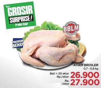 Promo Harga Ayam Broiler Big 700 gr - Lotte Grosir