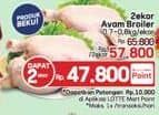 Promo Harga Ayam Broiler 700 gr - LotteMart