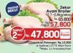 Ayam Broiler