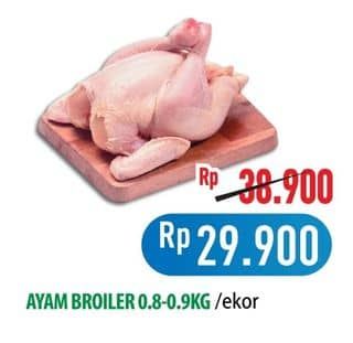 Promo Harga Ayam Broiler 800 gr - Hypermart