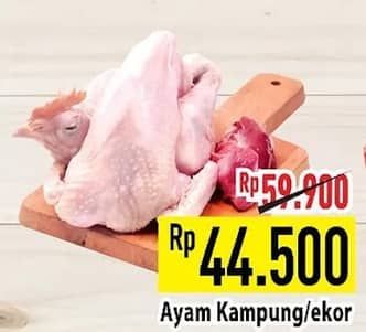 Promo Harga Ayam Kampung 500 gr - Hypermart