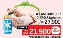 Promo Harga Ayam Broiler 700 gr - LotteMart
