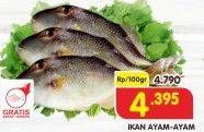 Promo Harga Ikan Ayam-Ayam per 100 gr - Superindo