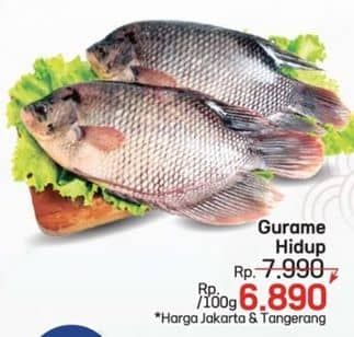 Promo Harga Ikan Gurame Hidup per 100 gr - LotteMart