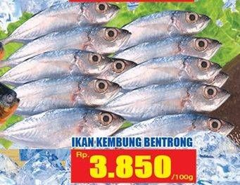 Promo Harga Ikan Kembung Bentrong per 100 gr - Hari Hari