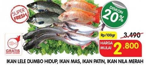 Promo Harga Ikan Lele Dumbo Hidup, Ikan Mas, Ikan Patin, Ikan Nila Merah 100 g  - Superindo