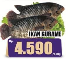 Promo Harga Ikan Gurame per 100 gr - Hari Hari