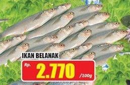 Promo Harga Ikan Belanak per 100 gr - Hari Hari