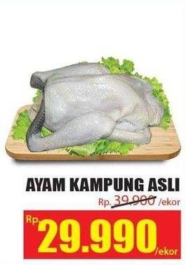 Promo Harga Ayam Kampung Asli  - Hari Hari