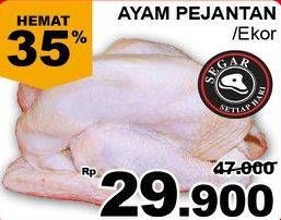 Promo Harga Ayam Pejantan  - Giant