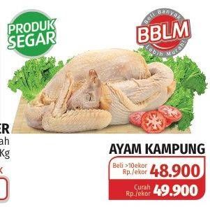 Promo Harga Ayam Kampung  - Lotte Grosir