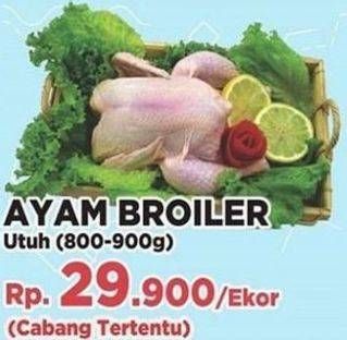 Promo Harga Ayam Broiler  - Yogya