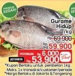 Promo Harga Ikan Gurame Hidup  - LotteMart