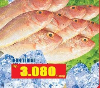 Promo Harga Ikan Terisi per 100 gr - Hari Hari