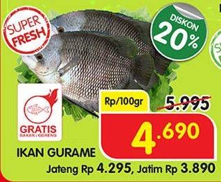 Promo Harga Ikan Gurame per 100 gr - Superindo