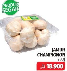 Promo Harga Jamur Champignon (Jamur Kancing) 250 gr - Lotte Grosir