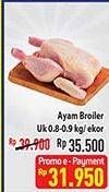 Promo Harga Ayam Broiler 800 gr - Hypermart