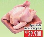 Promo Harga Ayam Broiler  - Hypermart