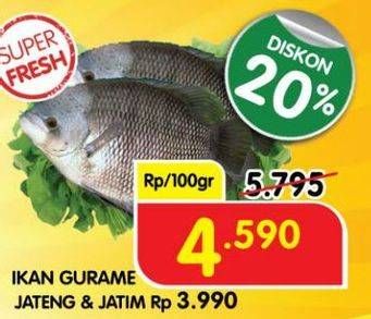 Promo Harga Ikan Gurame per 100 gr - Superindo