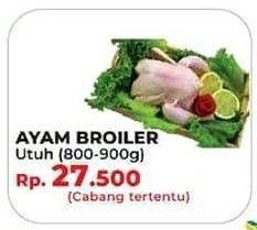 Promo Harga Ayam Broiler  - Yogya