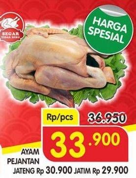 Promo Harga Ayam Pejantan  - Superindo