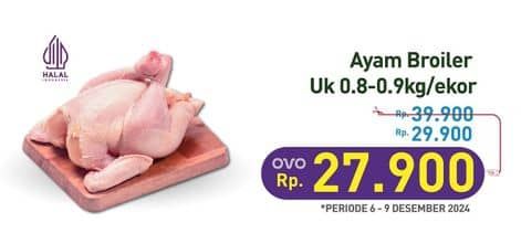 Promo Harga Ayam Broiler 800 gr - Hypermart