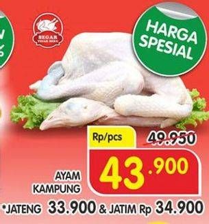 Promo Harga Ayam Kampung  - Superindo