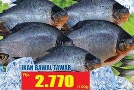 Promo Harga Ikan Bawal Tawar per 100 gr - Hari Hari