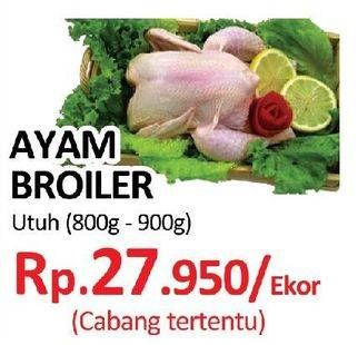 Promo Harga Ayam Broiler  - Yogya