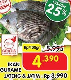 Promo Harga Ikan Gurame per 100 gr - Superindo