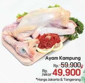 Promo Harga Ayam Kampung 1000 gr - LotteMart