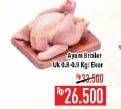 Promo Harga Ayam Broiler 900 gr - Hypermart