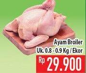 Promo Harga Ayam Broiler 900 gr - Hypermart